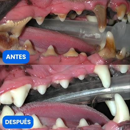 PawDental™ BocaClean Dental para Perros