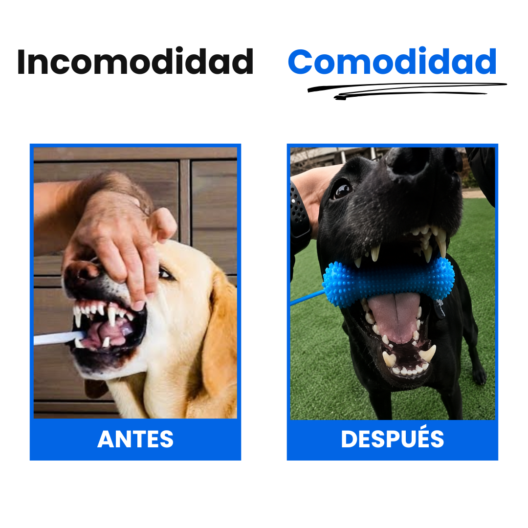 PawDental™ BocaClean Dental para Perros