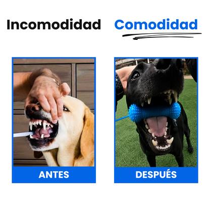 PawDental™ BocaClean Dental para Perros