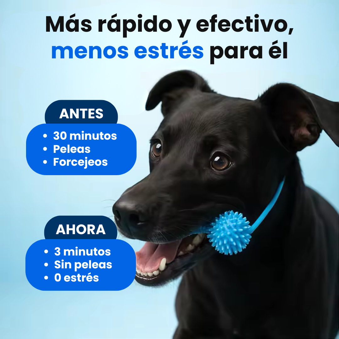 PawDental™ BocaClean Dental para Perros
