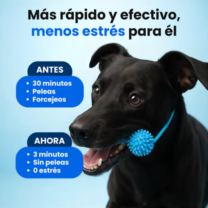 PawDental™ BocaClean Dental para Perros
